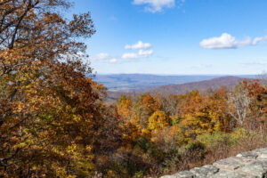 Skyline Drive Fall 2021